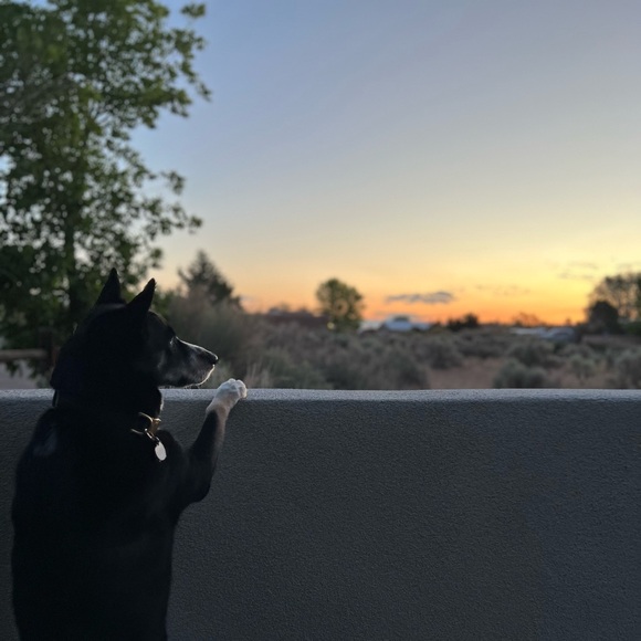 Meet your Posher, Caitlin - Picture 2 of 2